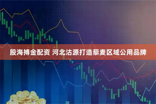 股海搏金配资 河北沽源打造藜麦区域公用品牌