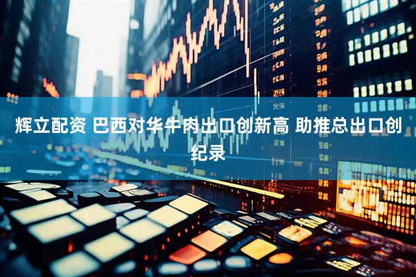 辉立配资 巴西对华牛肉出口创新高 助推总出口创纪录