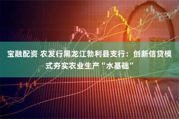 宝融配资 农发行黑龙江勃利县支行：创新信贷模式夯实农业生产“水基础”