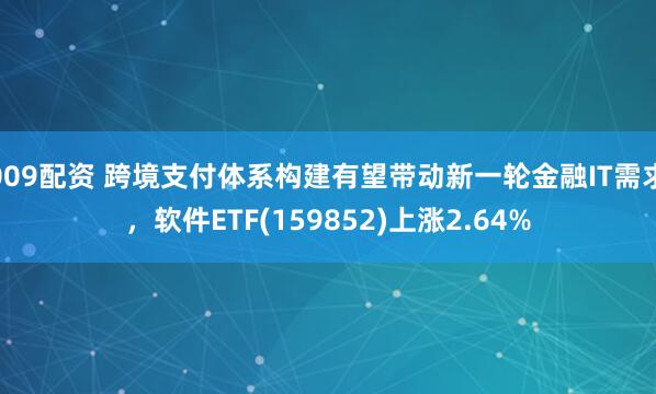 009配资 跨境支付体系构建有望带动新一轮金融IT需求，软件ETF(159852)上涨2.64%