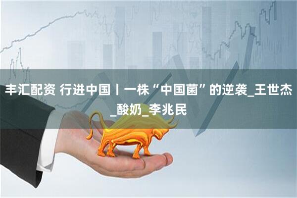 丰汇配资 行进中国丨一株“中国菌”的逆袭_王世杰_酸奶_李兆民